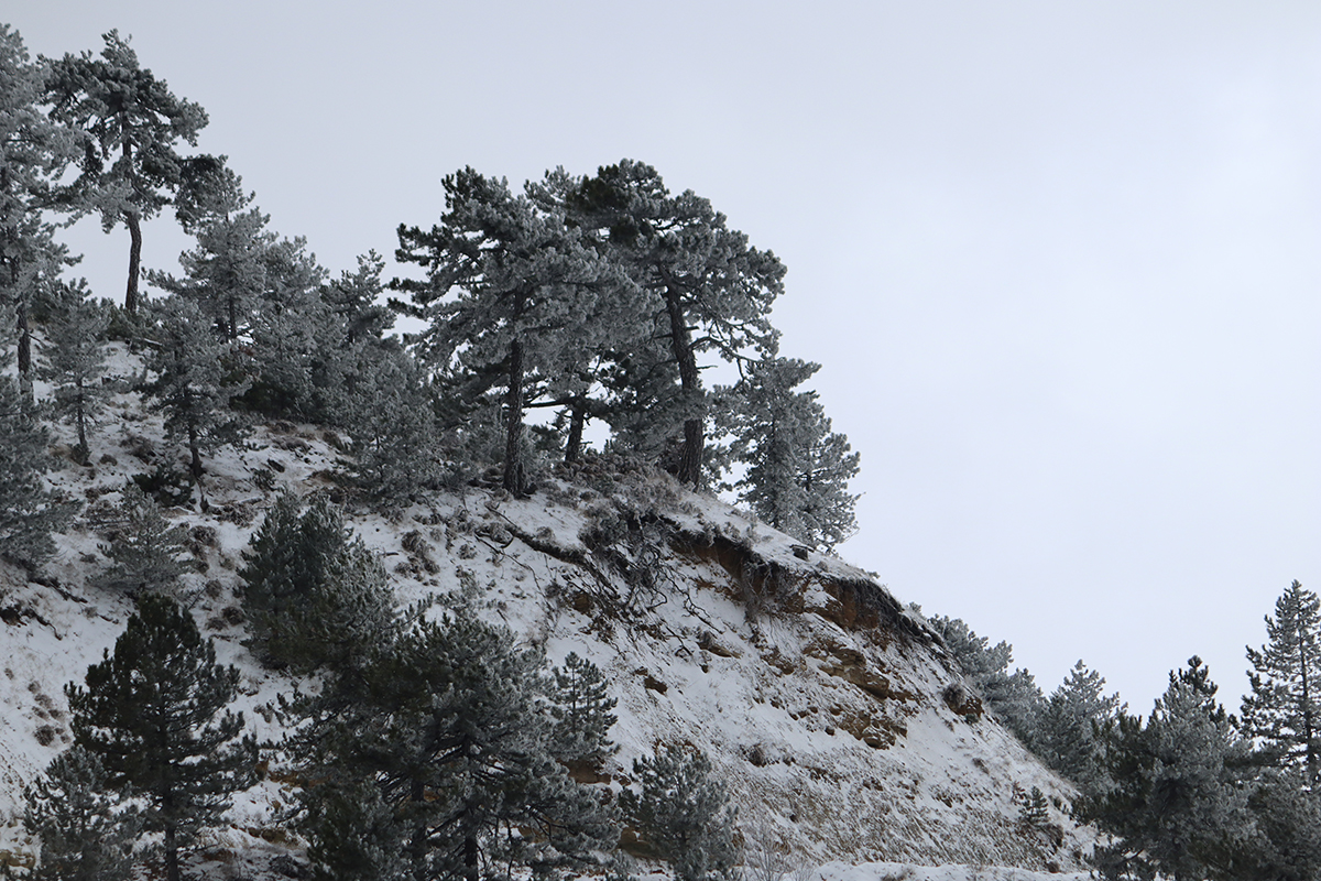  Winter's Tale mountains